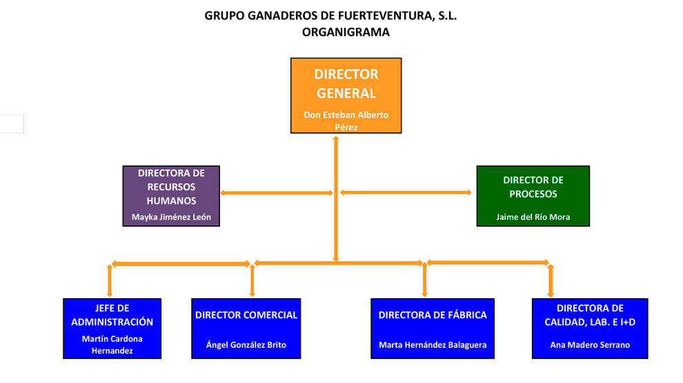 organigrama empresa